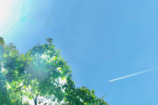 Fantastic sky, JPG Fantastic sky, sky, aerial cloud, wood, JPG