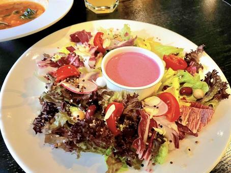 前菜のサラダ 前菜のサラダの写真