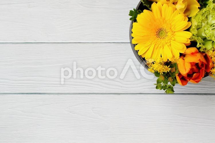 色鮮やかなボックスフラワーと白い木目背景 花,花束,植物の写真素材