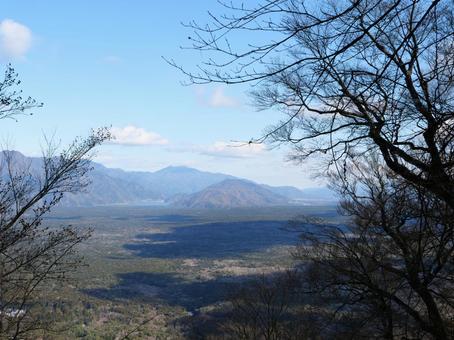 竜ヶ岳から望む富士の樹海と西湖 竜ヶ岳,西湖,樹海の写真素材