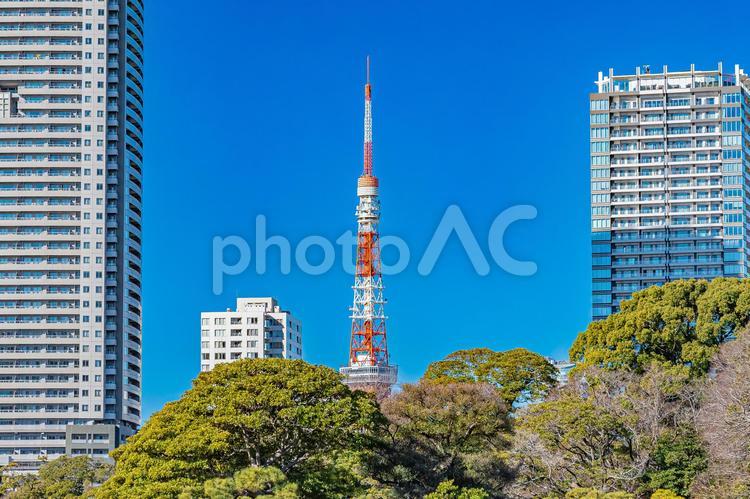 東京　浜離宮恩賜庭園の風景 東京,東京都,浜離宮恩賜庭園の写真素材