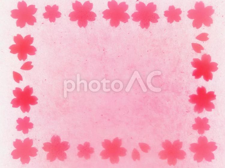 和紙　コーラルピンクの桜(四角フレーム) 桜,３月,４月の写真素材