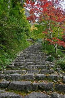 滋賀・近江八幡 桑實寺 参道 滋賀・近江八幡 桑實寺 参道の写真