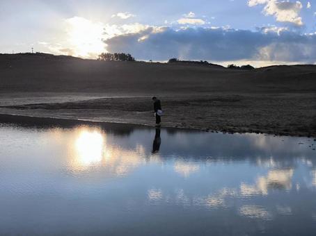 砂丘 砂丘 砂丘,鳥取砂丘,水面の写真素材