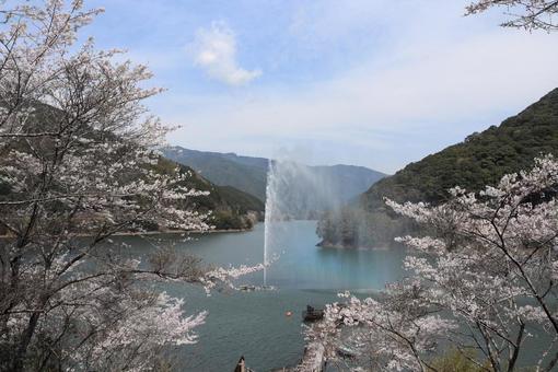 汗の原親水公園 汗の原親水公園 サクラ,春,絶景の写真素材