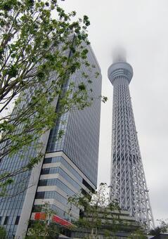 曇り日の東京スカイツリー-104 東京スカイツリー,曇り日,雲の写真素材