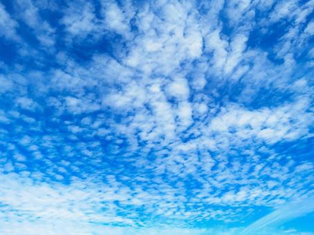 青空に浮かぶうろこ雲 青空に浮かぶうろこ雲の写真