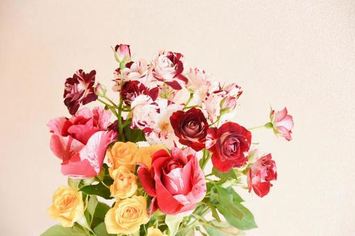 カラフルなばら カラフルなばら ピンク,黄色,絞りの写真素材