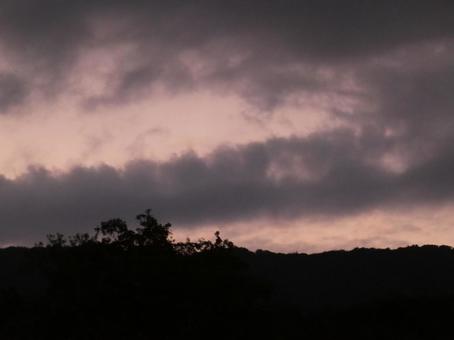 夕暮れ 夕暮れの写真