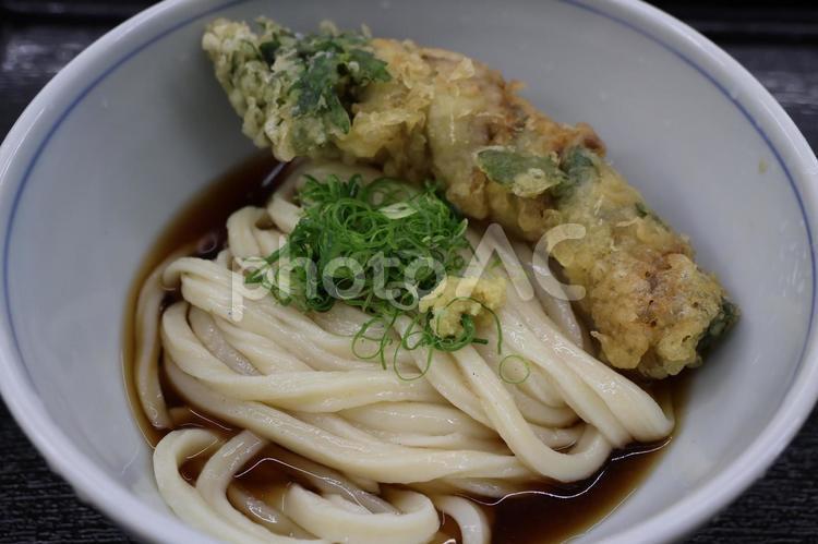 春菊の豚巻き天ぷらぶっかけうどんの冷や 背景,春菊,豚巻きの写真素材