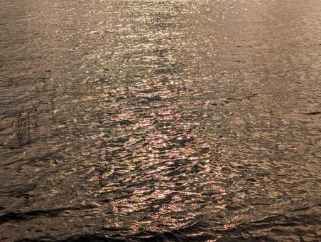 夕暮れの湖上 夕暮れの湖上の写真
