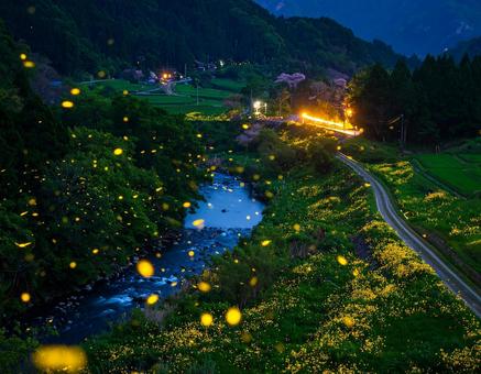 ホタルのいる田園風景 ホタルのいる田園風景の写真