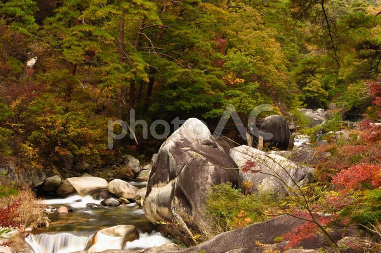 山梨県甲府市　昇仙峡の紅葉 昇仙峡,山梨,紅葉の写真素材