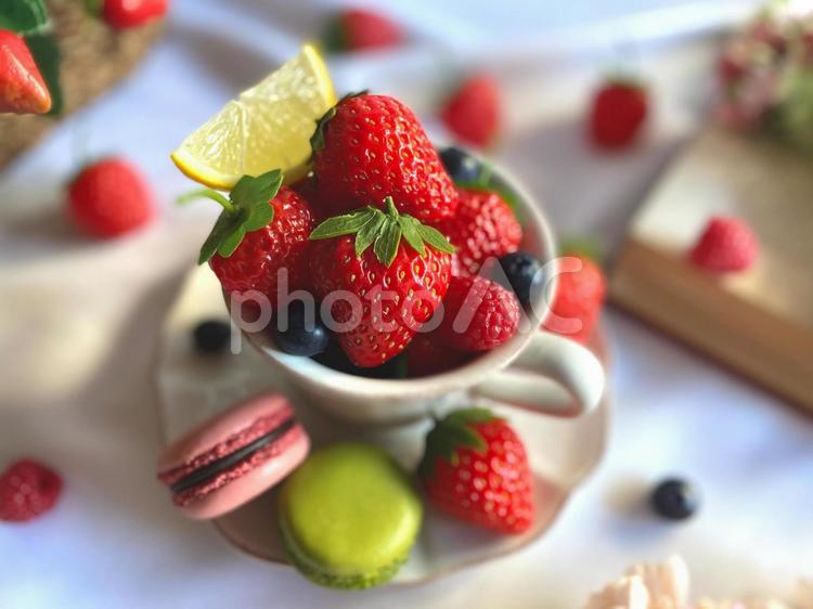 苺たくさん、春イメージ 春,苺,いちごの写真素材