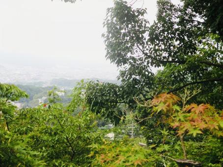 展望 展望 自然,神社,竈門神社の写真素材