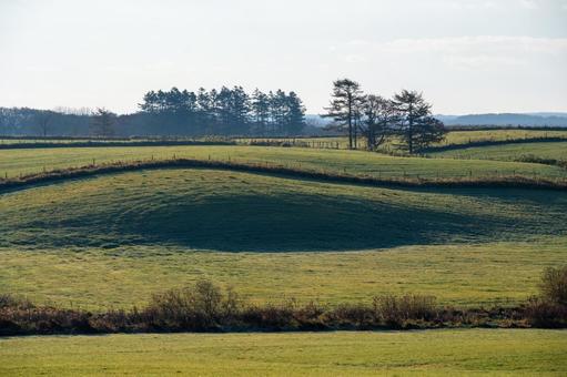 光と影が織りなす起伏のある牧草地 丘,牧草地,牧場の写真素材