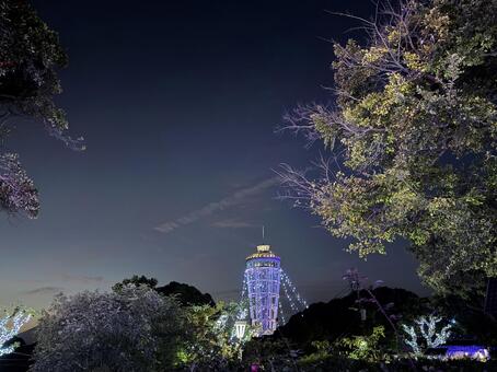 江の島シーキャンドル 江の島シーキャンドル,展望灯台,湘南の写真素材