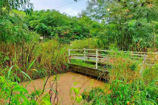 2025年9月の里山16 2025年9月の里山16の写真