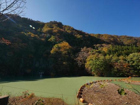 紅葉の赤谷湖 紅葉の赤谷湖 赤谷湖,ダム湖,湖の写真素材