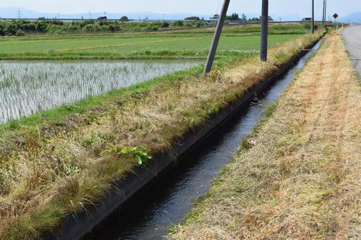 農業用水路 山形県庄内 農業用水路 山形県庄内 農業用水路,用水路,農業用水の写真素材