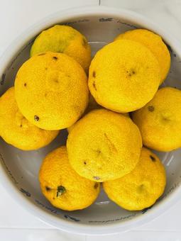 ゆず山盛りの写真