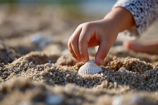 自然との触れ合い:砂浜と貝殻と子供の手 自然との触れ合い:砂浜と貝殻と子供の手の写真
