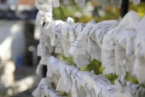 おみくじを結ぶ 縁結び,おみくじ,習慣の写真素材