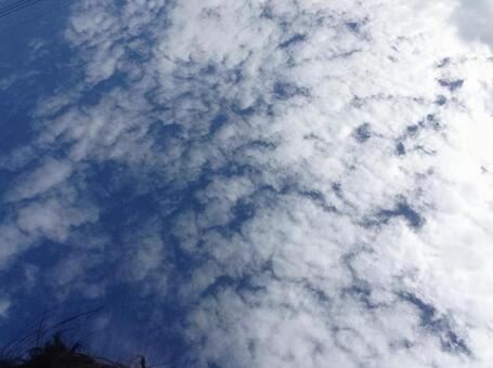 空を見上げる 空を見上げるの写真