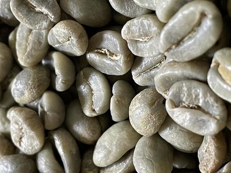 コーヒー生豆 背景,種素材,壁紙の写真素材