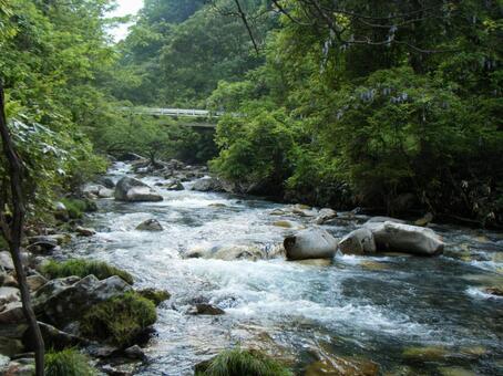 林の中を流れる川 林の中を流れる川の写真