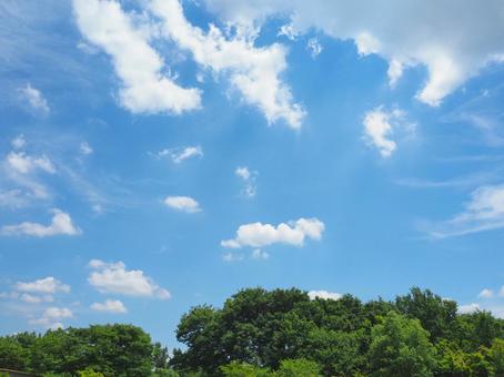 夏の景色68 夏の景色68の写真