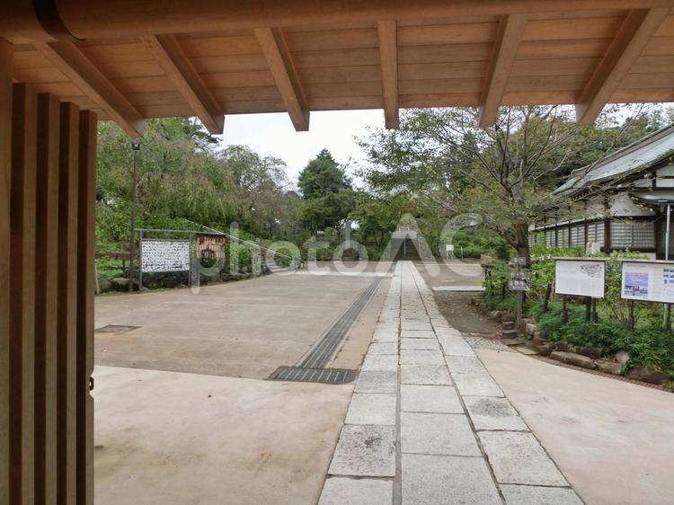 本土寺の風景-10 本土寺,千葉県松戸市,あじさい寺の写真素材