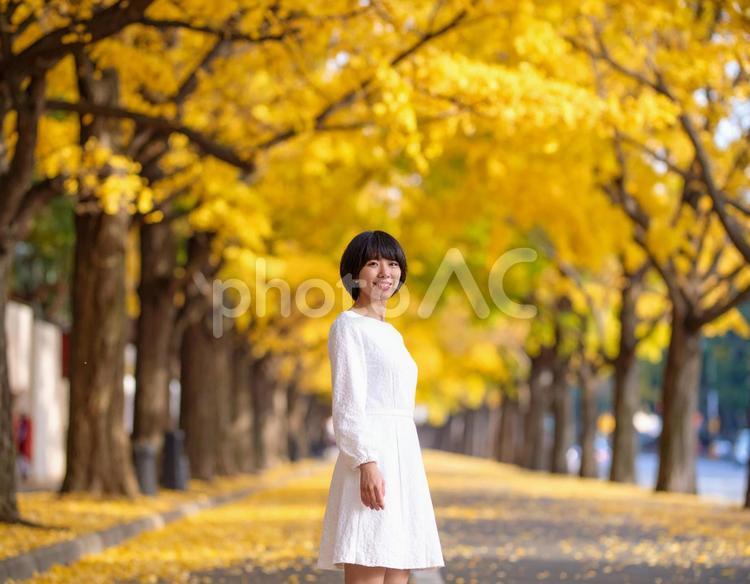 ストリートスナップ・イチョウ並木の彼女 女性,イチョウ並木,ストリートスナップの写真素材