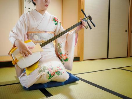 33:和服で三味線を演奏する女性 33:和服で三味線を演奏する女性 三味線,着物,伝統芸能の写真素材