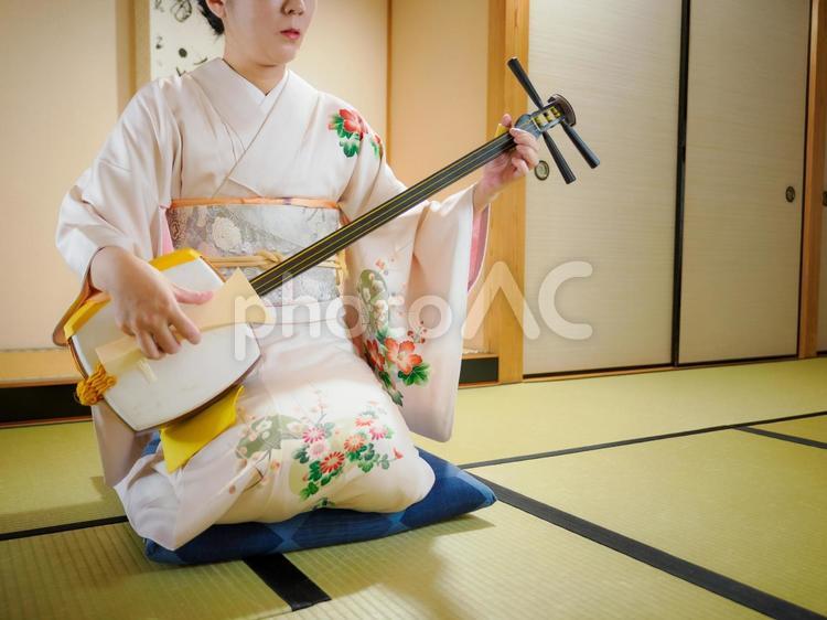 33：和服で三味線を演奏する女性 三味線,着物,伝統芸能の写真素材