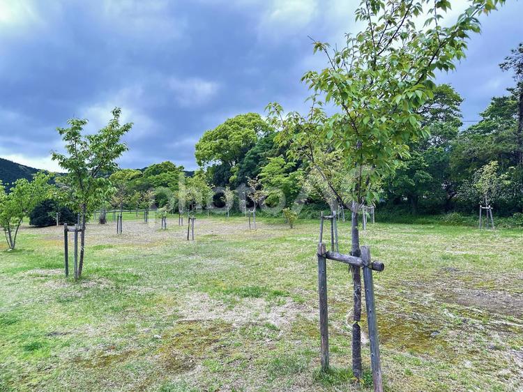 黒潮公園　公園歩道　三輪崎 休日,新宮市三輪崎,黒潮公園の写真素材