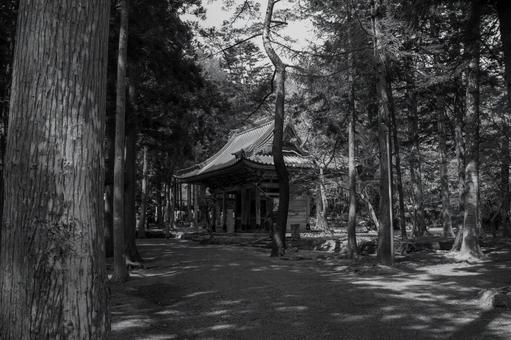 森の中の歴史的建造物 森の中の歴史的建造物 モノクロ,史跡,家の写真素材
