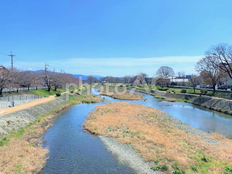 京都・賀茂川（御薗橋から下流方向の眺め） 賀茂川,御薗橋,みそのばしの写真素材
