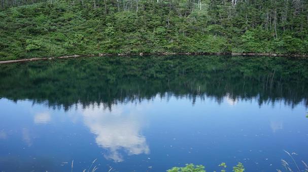 森を映す青い湖面 森を映す青い湖面の写真
