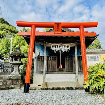 綾部八幡神社 綾部八幡神社,鳥居,参道の写真素材