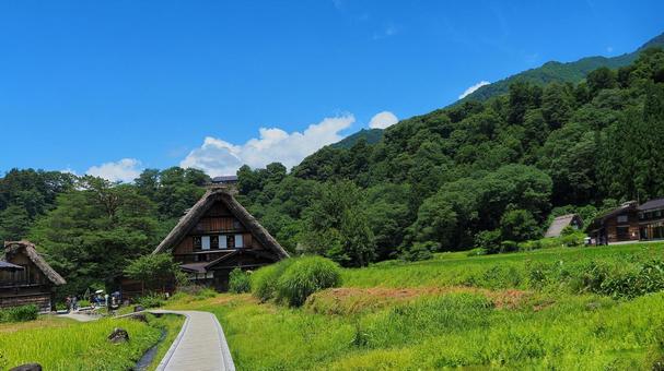 白川郷 白川郷 白川郷,合掌造り,観光地の写真素材