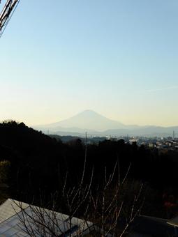 冬晴れの日、源氏山公園から望む富士山 冬晴れの日、源氏山公園から望む富士山の写真