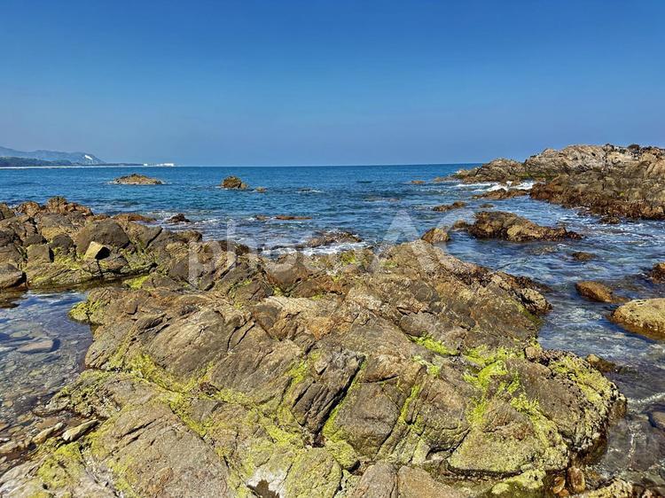 新宮市　三輪崎海岸　鈴島　磯 磯,新宮市,三輪崎海岸の写真素材