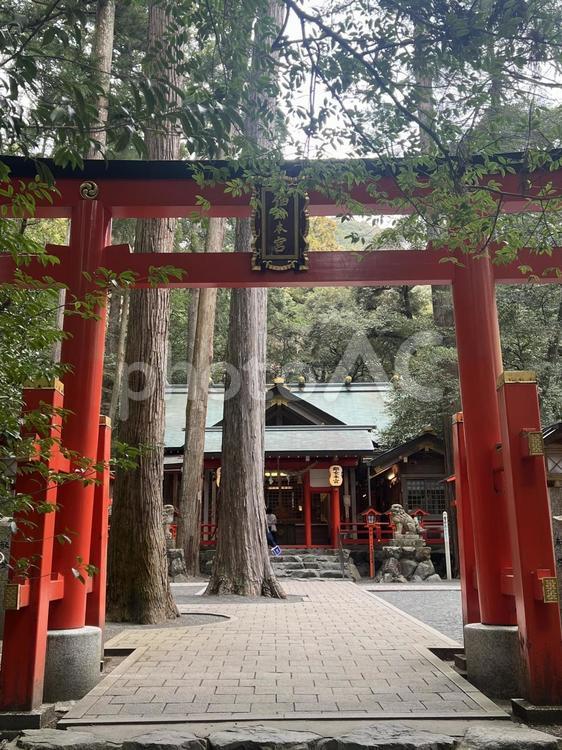 椿大神宮別宮　椿岸神社1 神社,鈴鹿市,椿大神社の写真素材