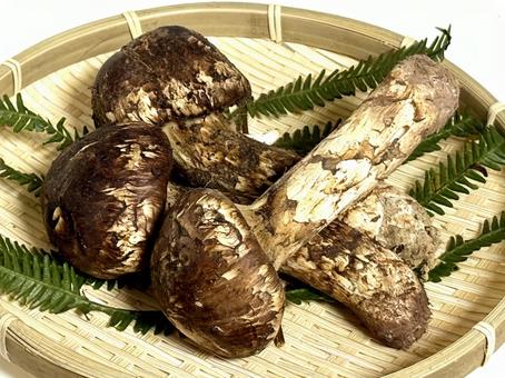 松茸かご入り 松茸,きのこ,食べ物の写真素材