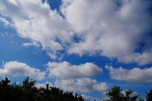 空の風景 空の風景の写真