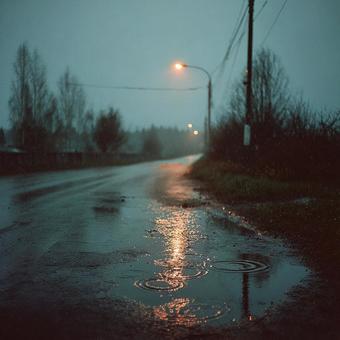 雨に濡れる田舎道の夜 雨に濡れる田舎道の夜の写真