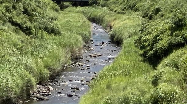 小川 小川の写真