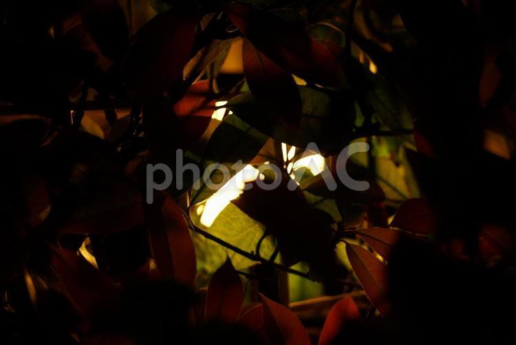 夜の風景　ふと見える光 夜の風景,道,月夜の写真素材