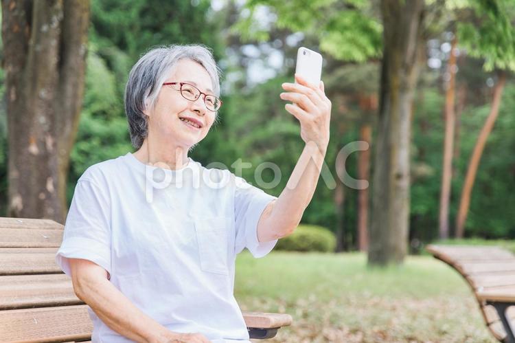 公園でスマホを使う高齢者女性（写真） 高齢者,スマホ,写真の写真素材